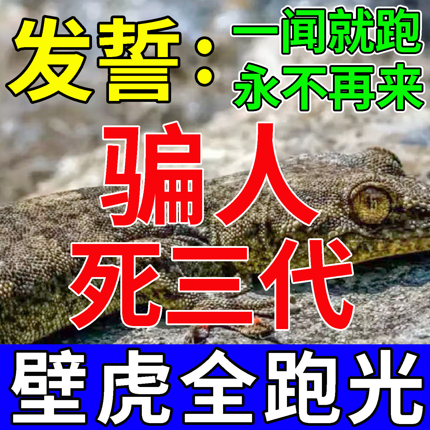 壁虎怎么驱赶最有效(壁虎怎么驱赶最有效家用方法) 壁虎怎么驱赶最有效(壁虎怎么驱赶最有效家用方法)
