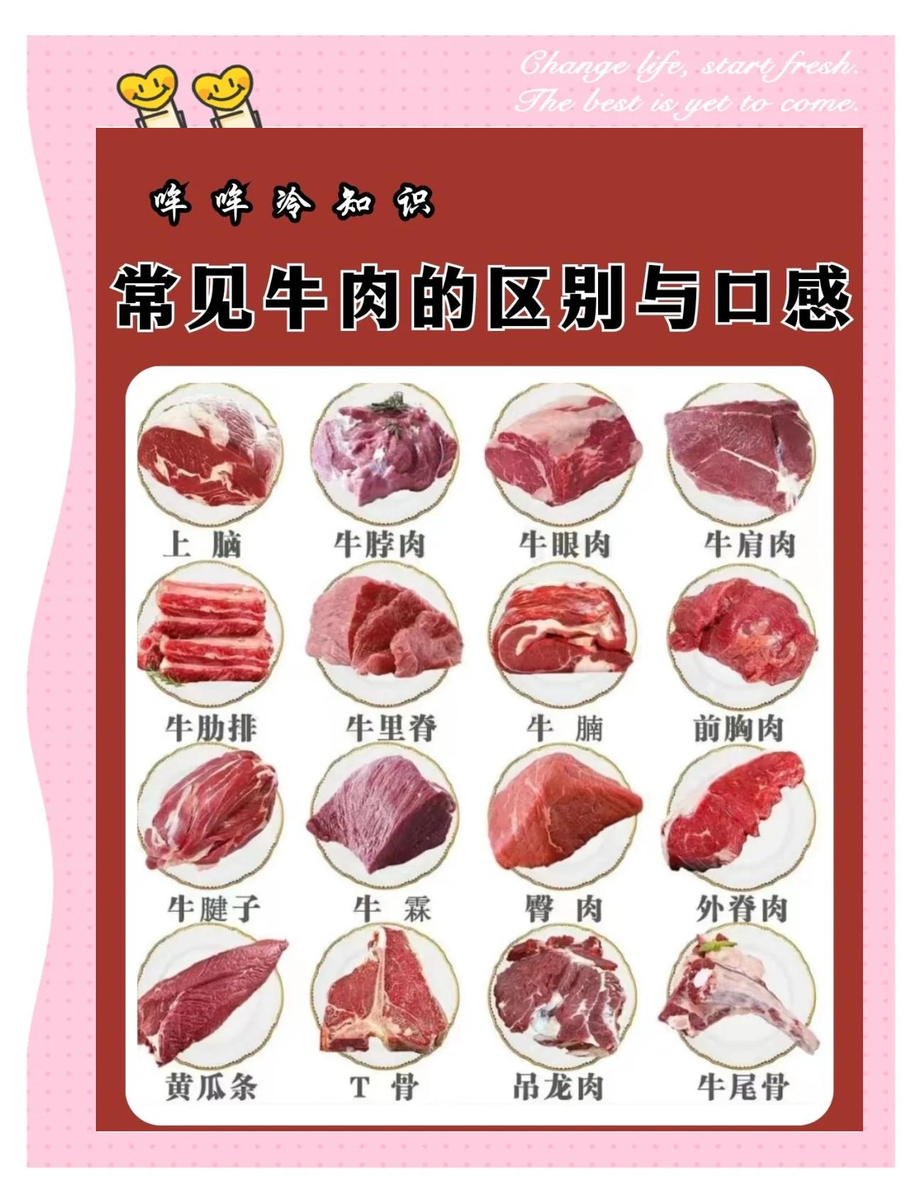 牛身上好吃的部位排序(牛身上哪个部位最好吃价格最高) 牛身上好吃的部位排序(牛身上哪个部位最好吃价格最高)