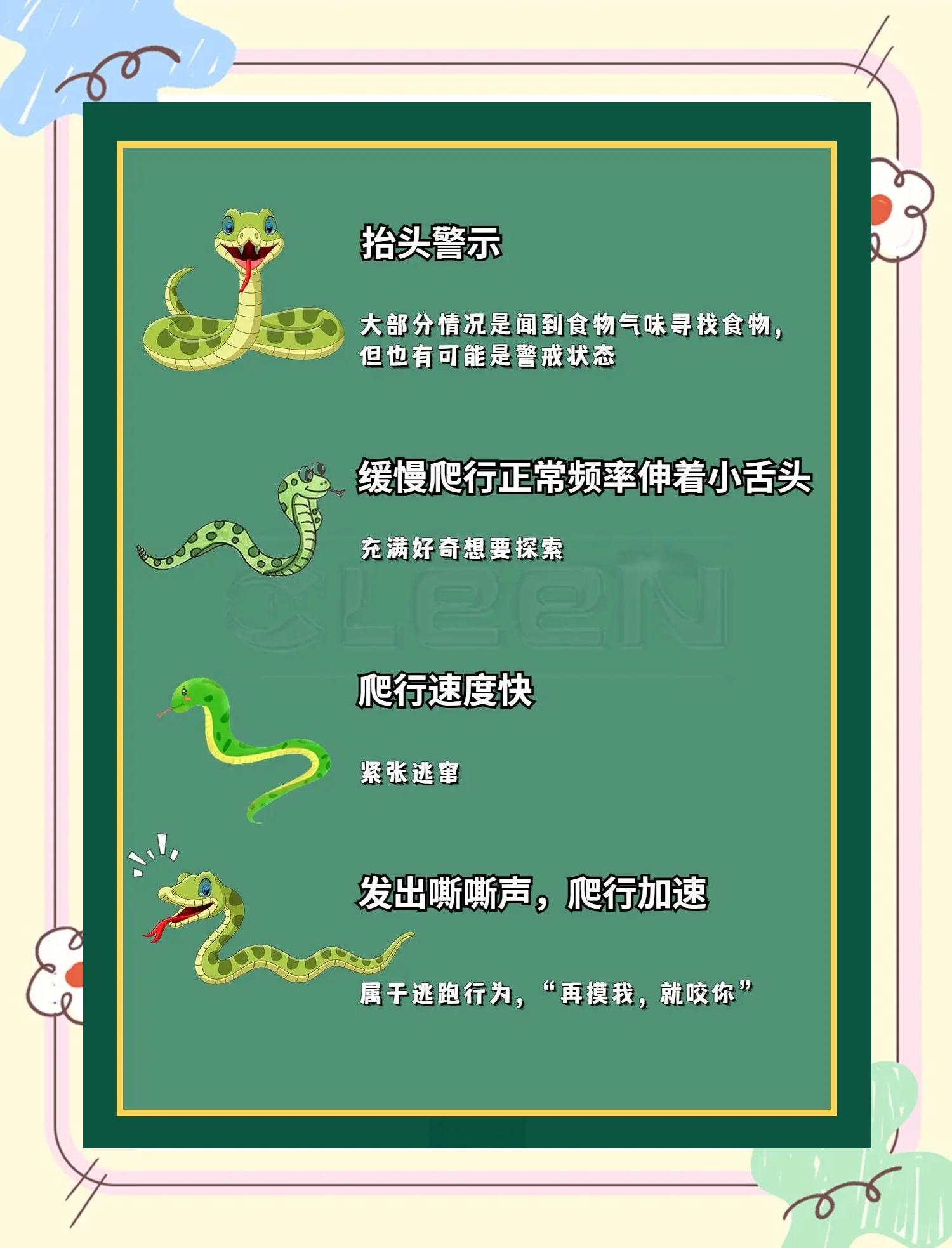 蛇到家里面来了蛇预示什么(蛇到家里面来了蛇预示什么意思)