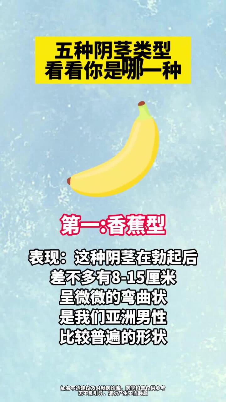 关于阳茎有几种实图的信息