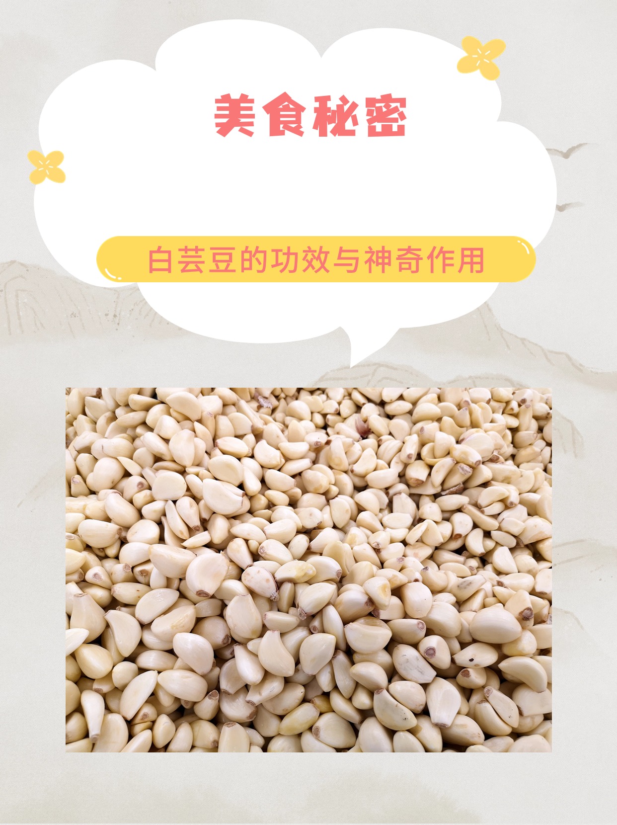 白饭豆的功效与作用(白饭豆的功效与作用是什么)