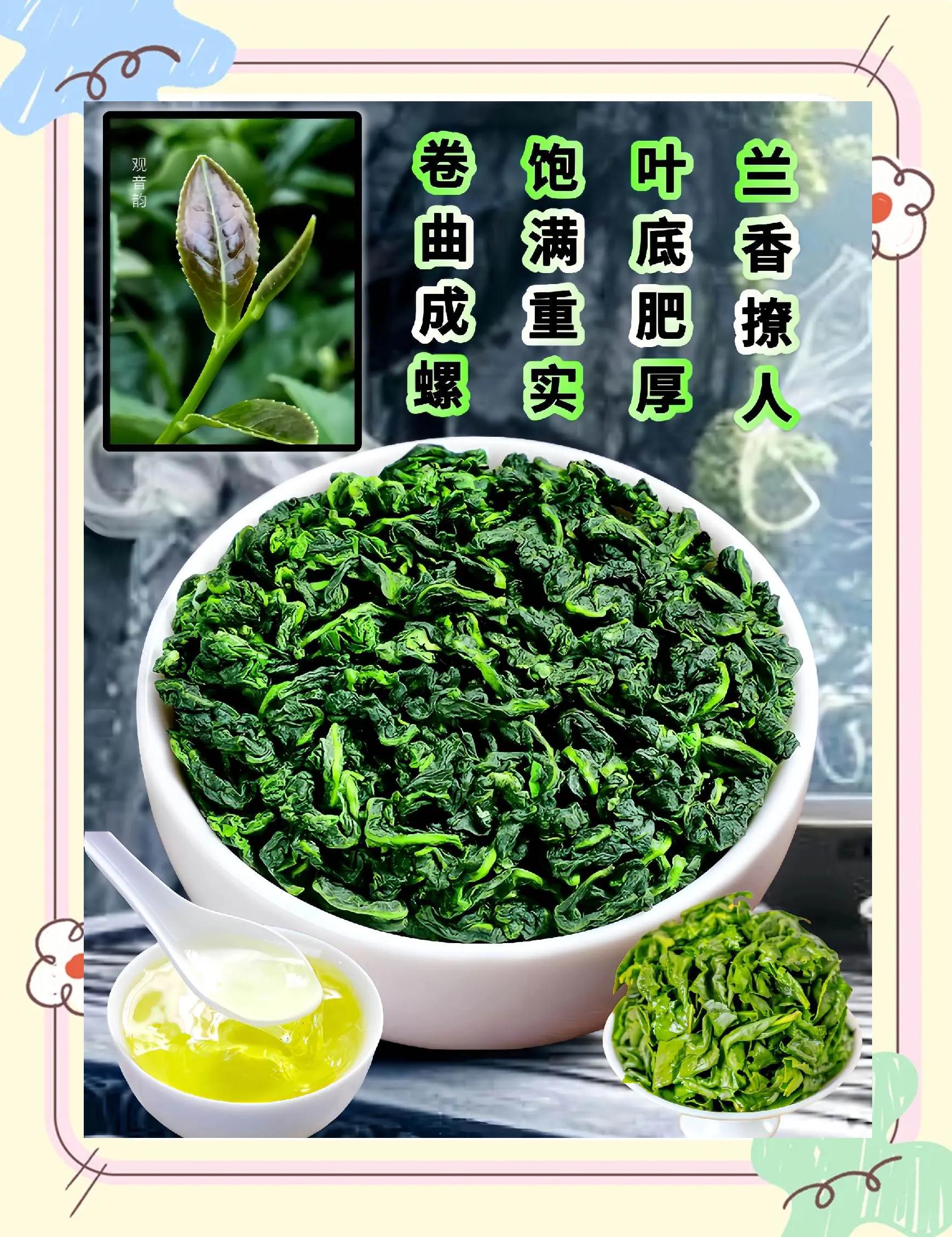 铁观音怎么泡(铁观音怎么泡最好喝?水温多少度合适)