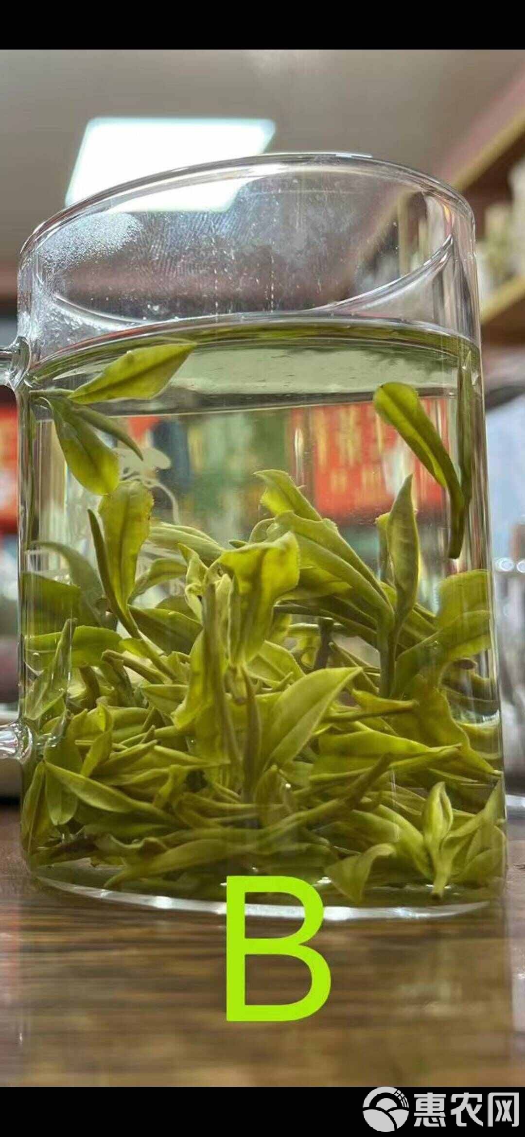 安吉白茶(安吉白茶产地哪里)
