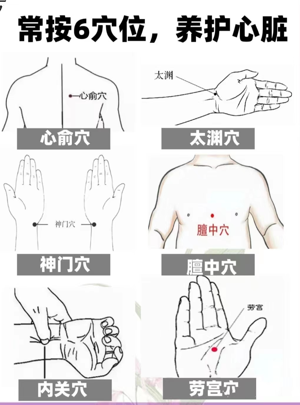 心俞准确位置图(心俞准确位置图和功效)