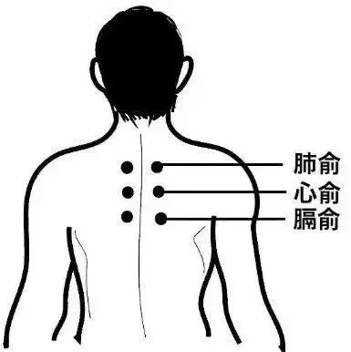 心俞准确位置图(心俞准确位置图和功效) 心俞准确位置图(心俞准确位置图和功效)