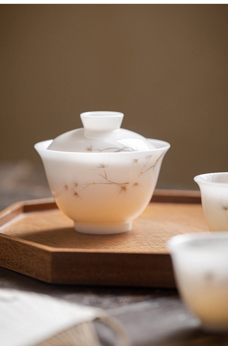 白茶用什么茶具最好(白茶用什么茶具最好喝呢视频)