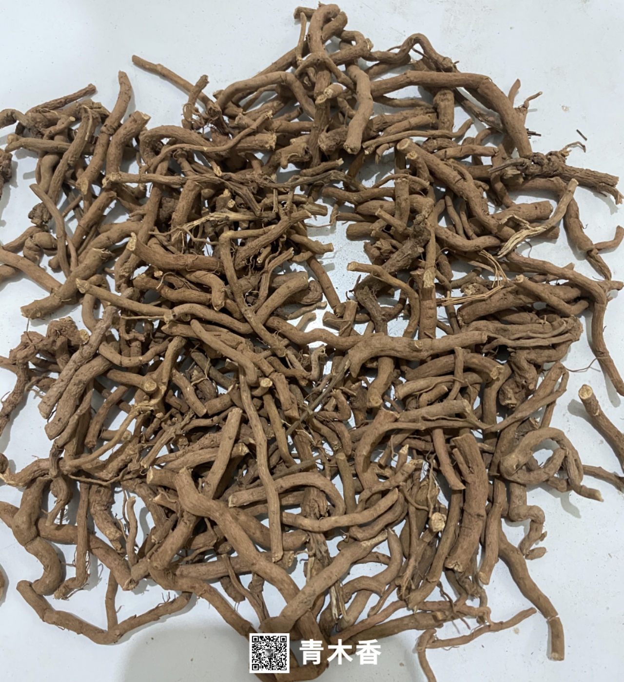 青木香全草图片(青木香为什么被禁用) 青木香全草图片(青木香为什么被禁用)