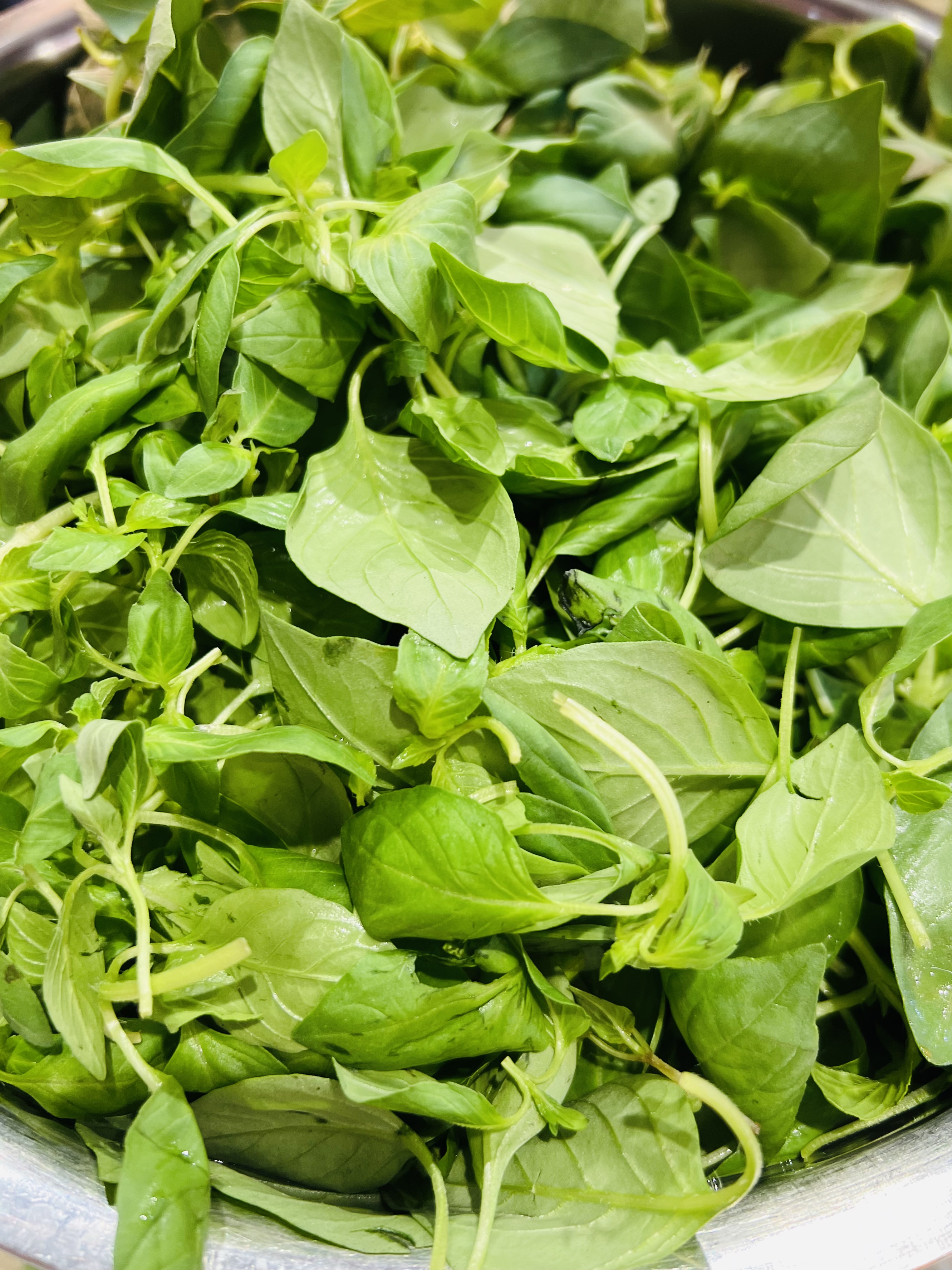 荆芥菜图片(湖北荆芥菜图片) 荆芥菜图片(湖北荆芥菜图片)