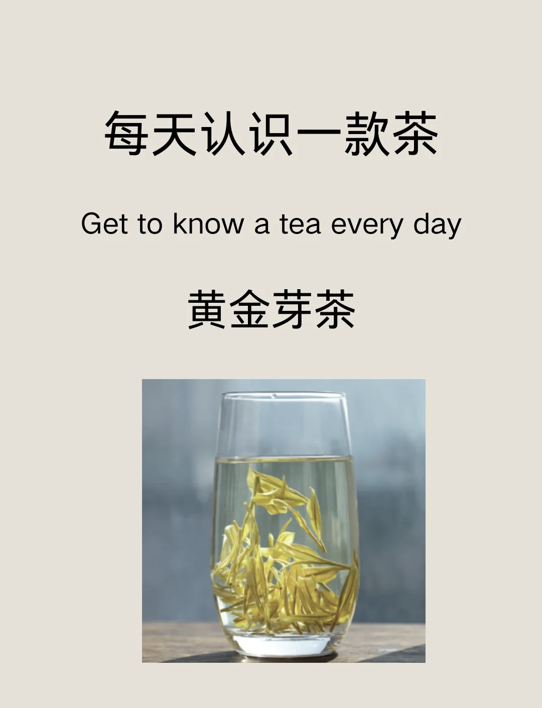 黄金芽的功效和作用(黄金芽的功效和作用及禁忌)