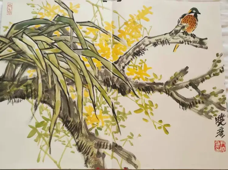 晓秀(晓秀平台是谁创立的)