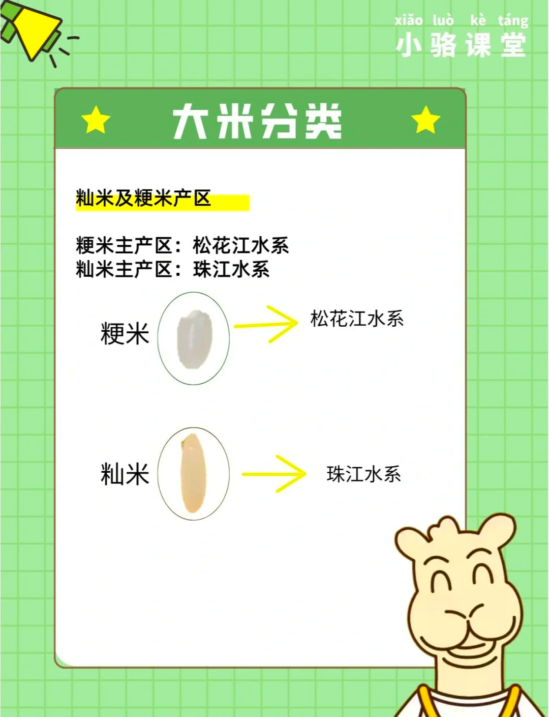 粳米在超市又叫什么米(粳米在超市又叫什么米几级米好)