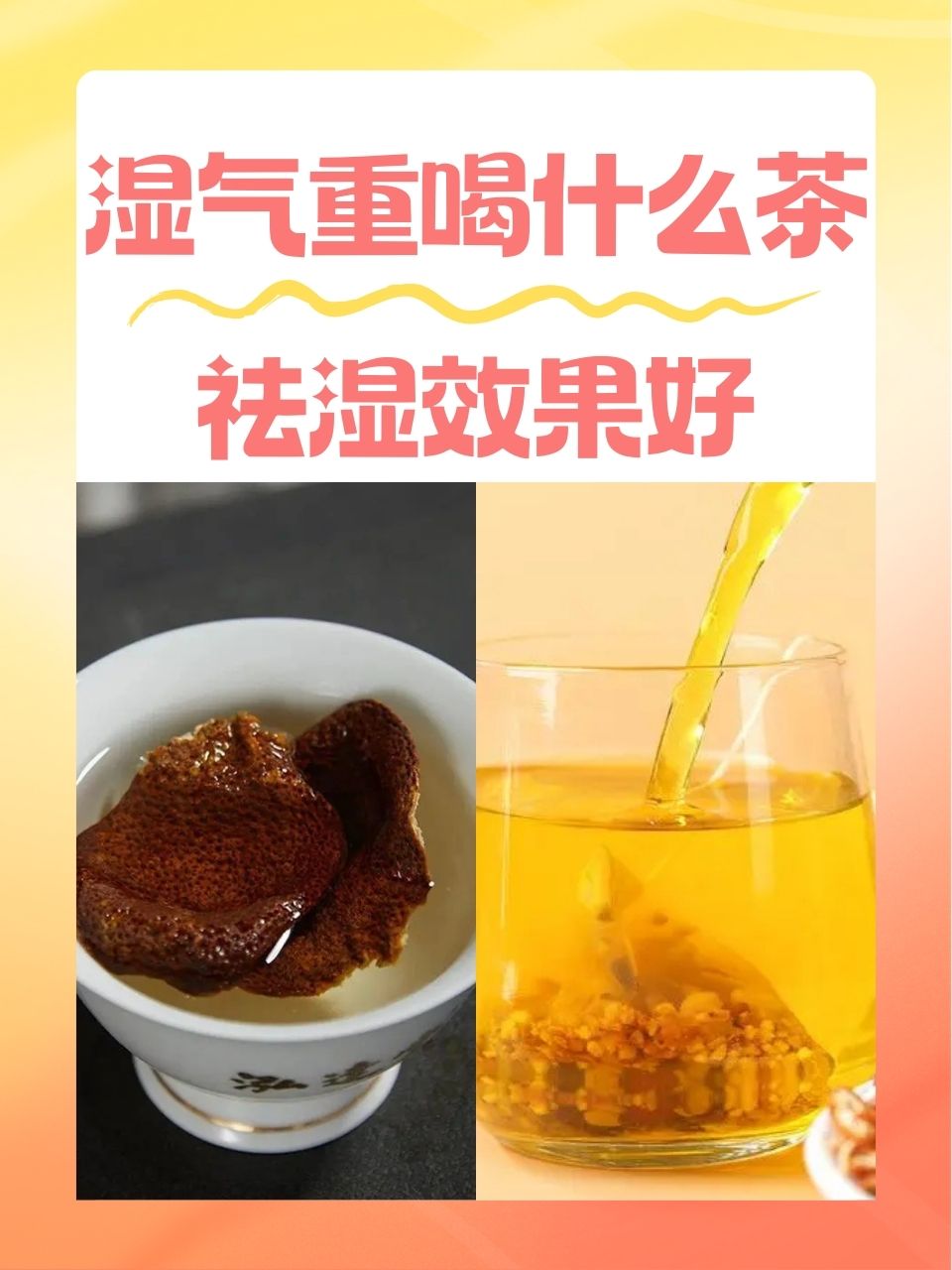 溪黄草薏湿茶哪些人不能喝(溪黄草祛湿茶适合哪种体的人喝) 溪黄草薏湿茶哪些人不能喝(溪黄草祛湿茶适合哪种体的人喝)