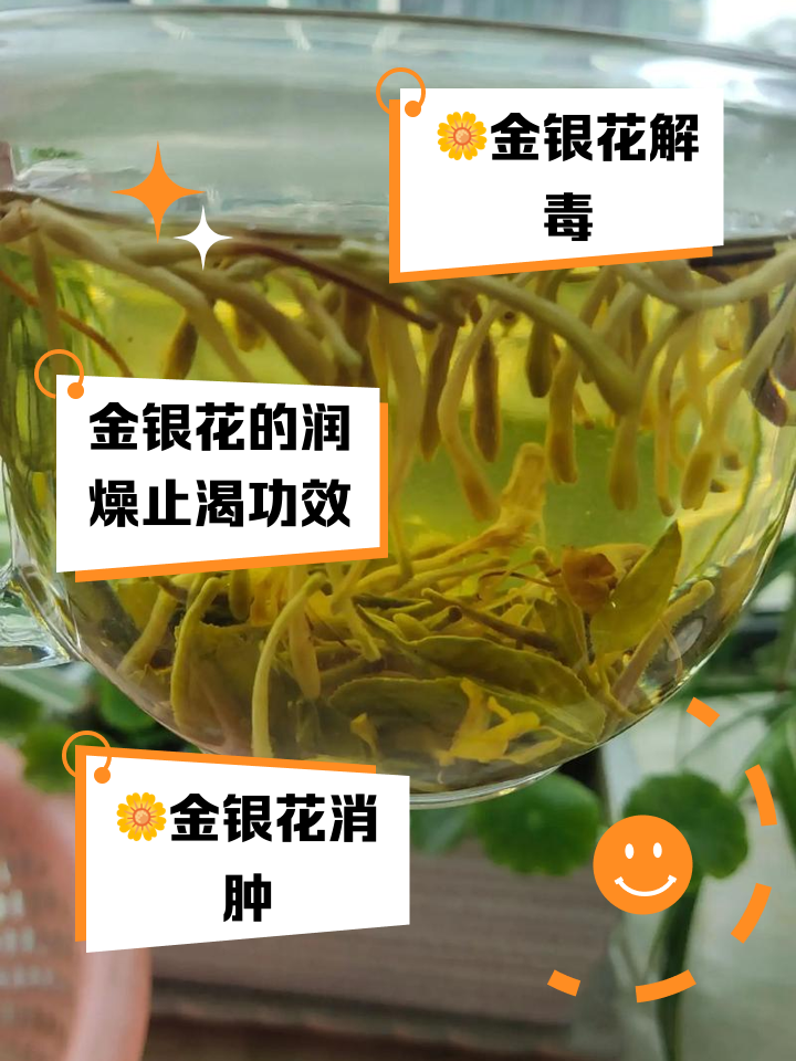 金银花泡水的正确方法(金银花和什么一起泡水是最佳搭配) 金银花泡水的正确方法(金银花和什么一起泡水是最佳搭配)