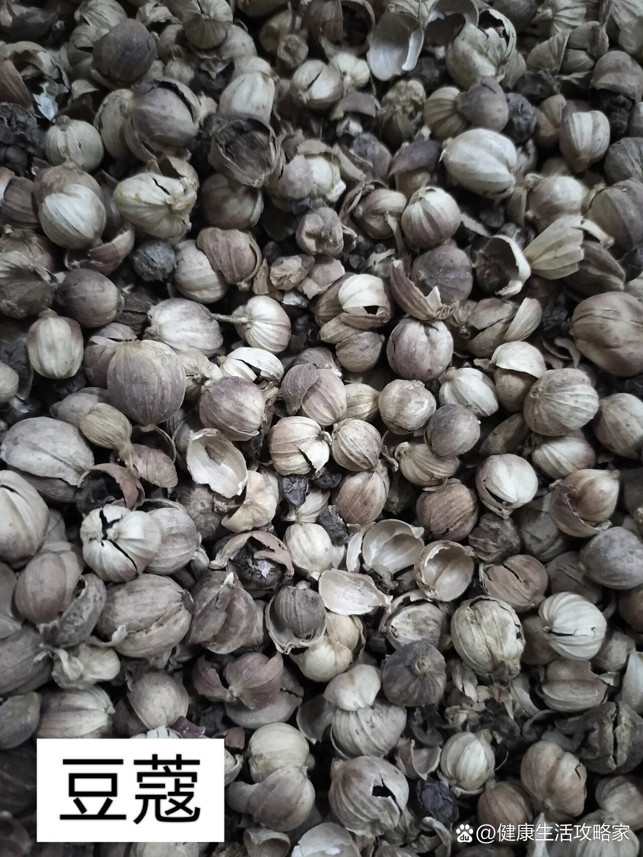 豆蔻的图片(豆蔻的图片是什么样子)