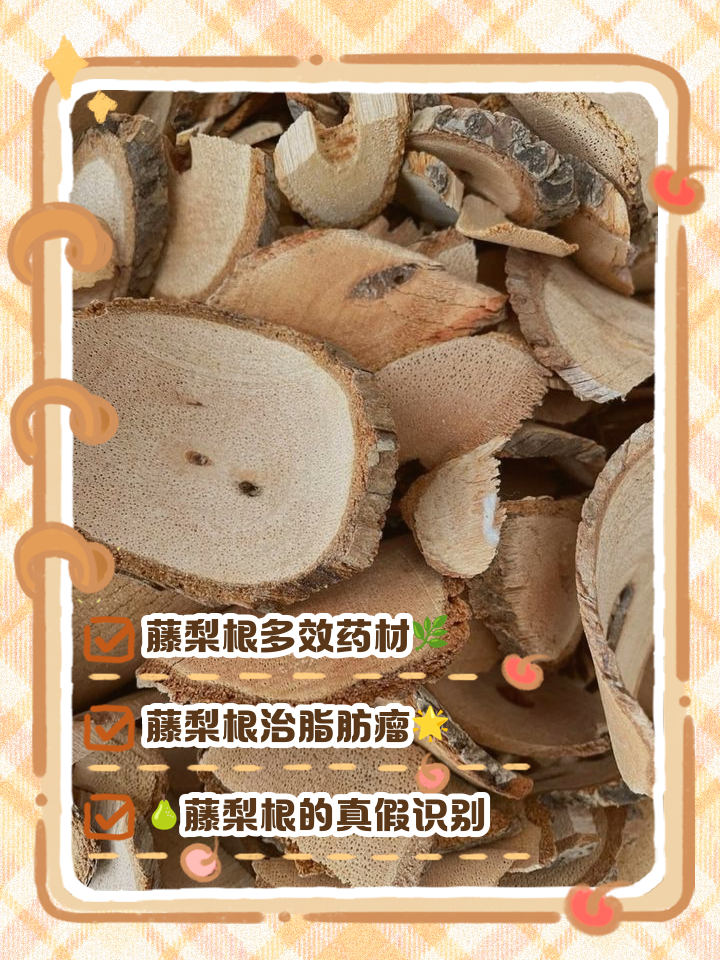 藤梨根(藤梨根的功效与作用) 藤梨根(藤梨根的功效与作用)