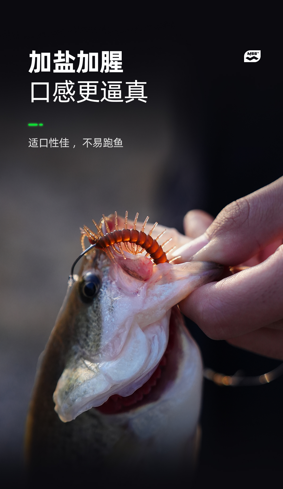 性之诱饵(诱之是什么意思) 性之诱饵(诱之是什么意思)