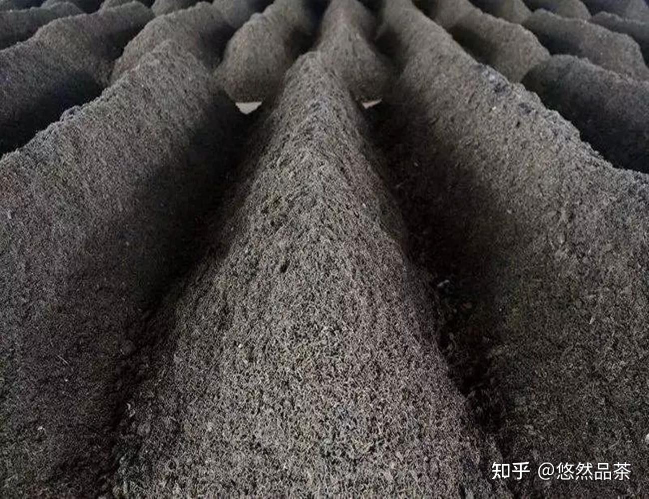渥堆(渥堆发酵工艺) 渥堆(渥堆发酵工艺)
