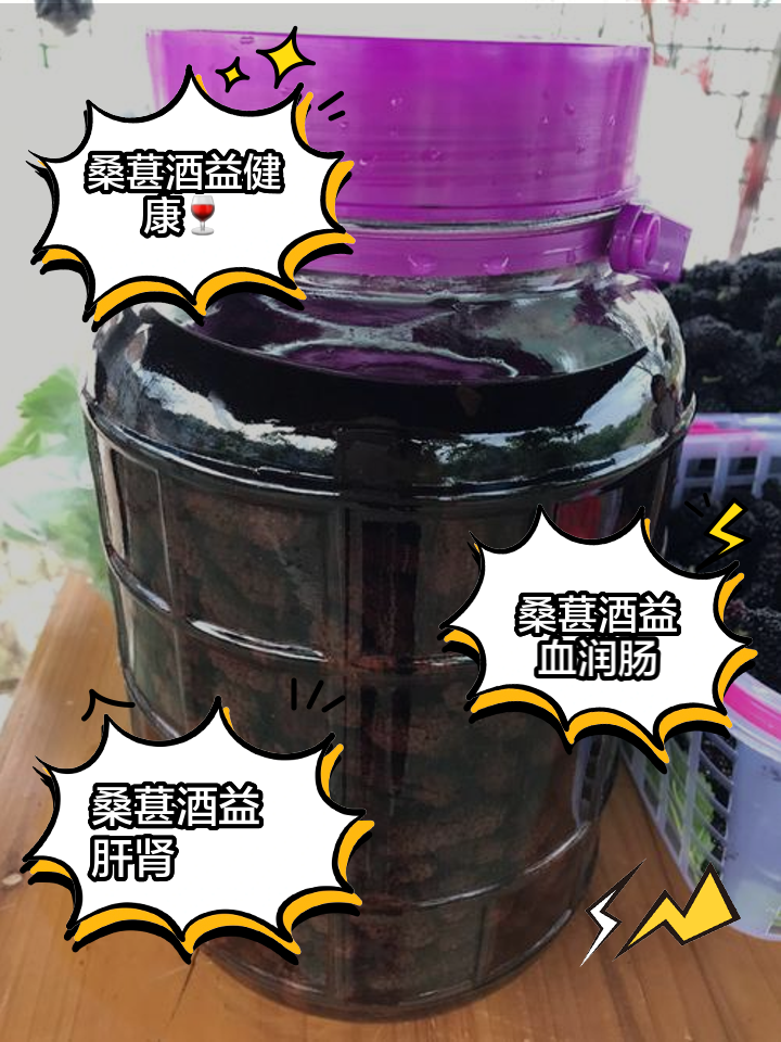 桑葚酒浸泡多久饮用最佳时间(桑葚酒浸泡多久饮用最佳时间呢)