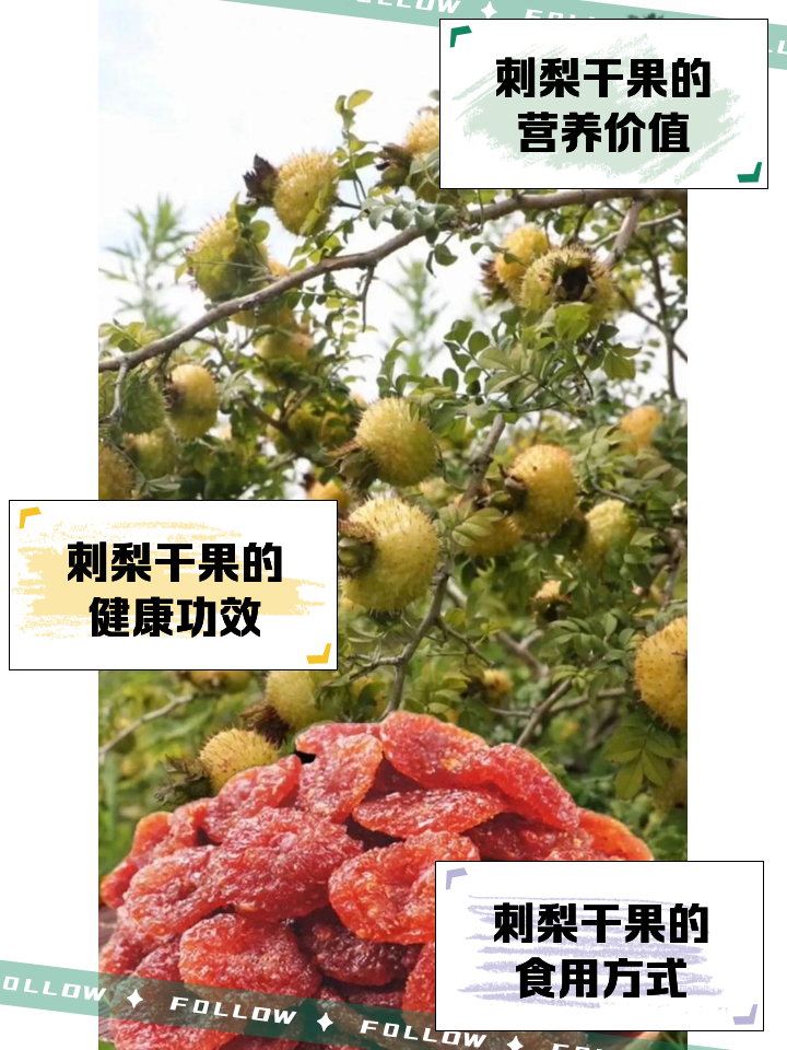 刺果图片(番荔枝刺果图片)