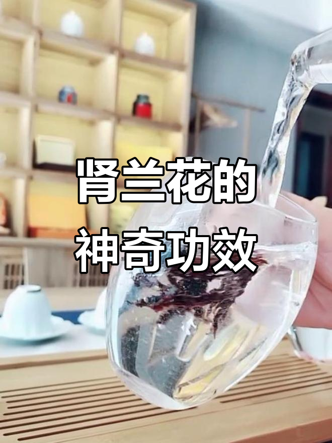 蓝花草功效作用图片(蓝花草药用价值与功效) 蓝花草功效作用图片(蓝花草药用价值与功效)