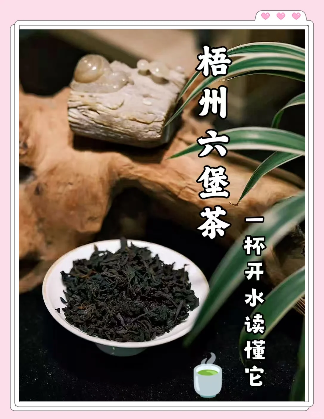 什么人不适合喝六堡茶(经常喝六堡茶有什么好处)