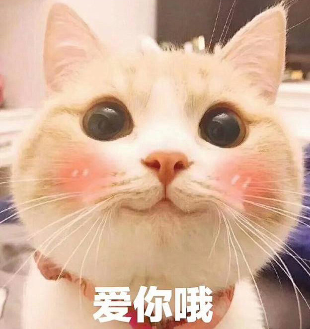 爱你哦的表情图片(爱你哟的表情包图片可爱)