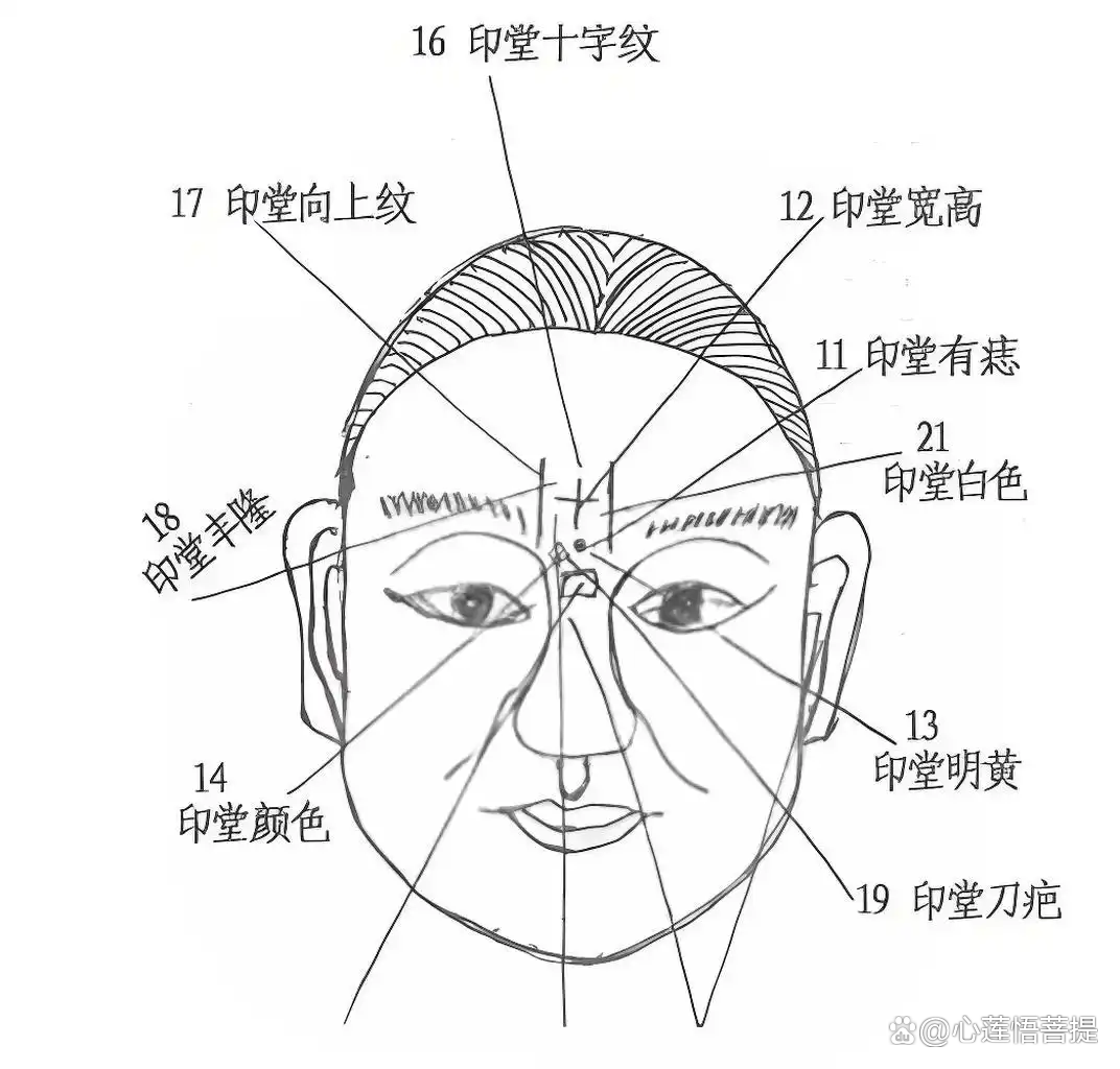 女人眉间八字纹富豪(印堂有八字纹的女人好不好)