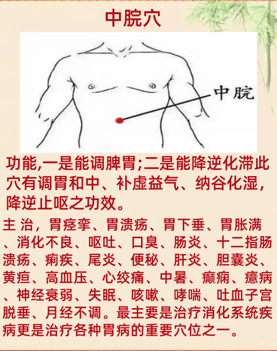 中脘的准确位置图片(关元的准确位置图片 图)