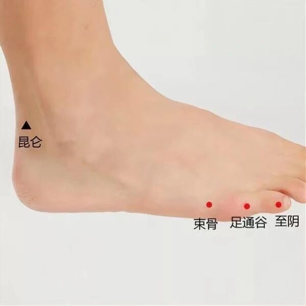 束骨穴(束骨穴的功效) 束骨穴(束骨穴的功效)