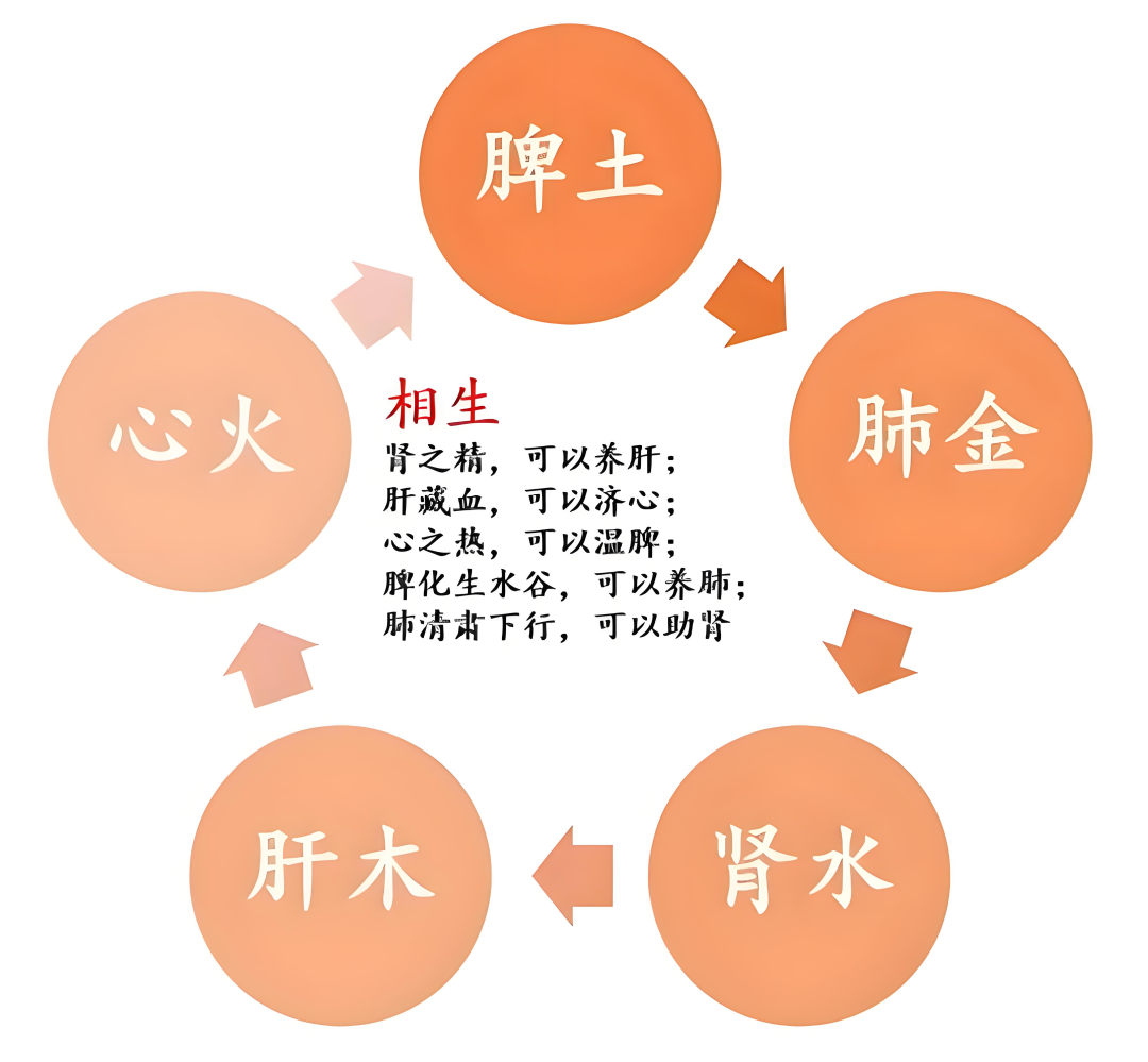 两地汤组成(两地汤组成速记)