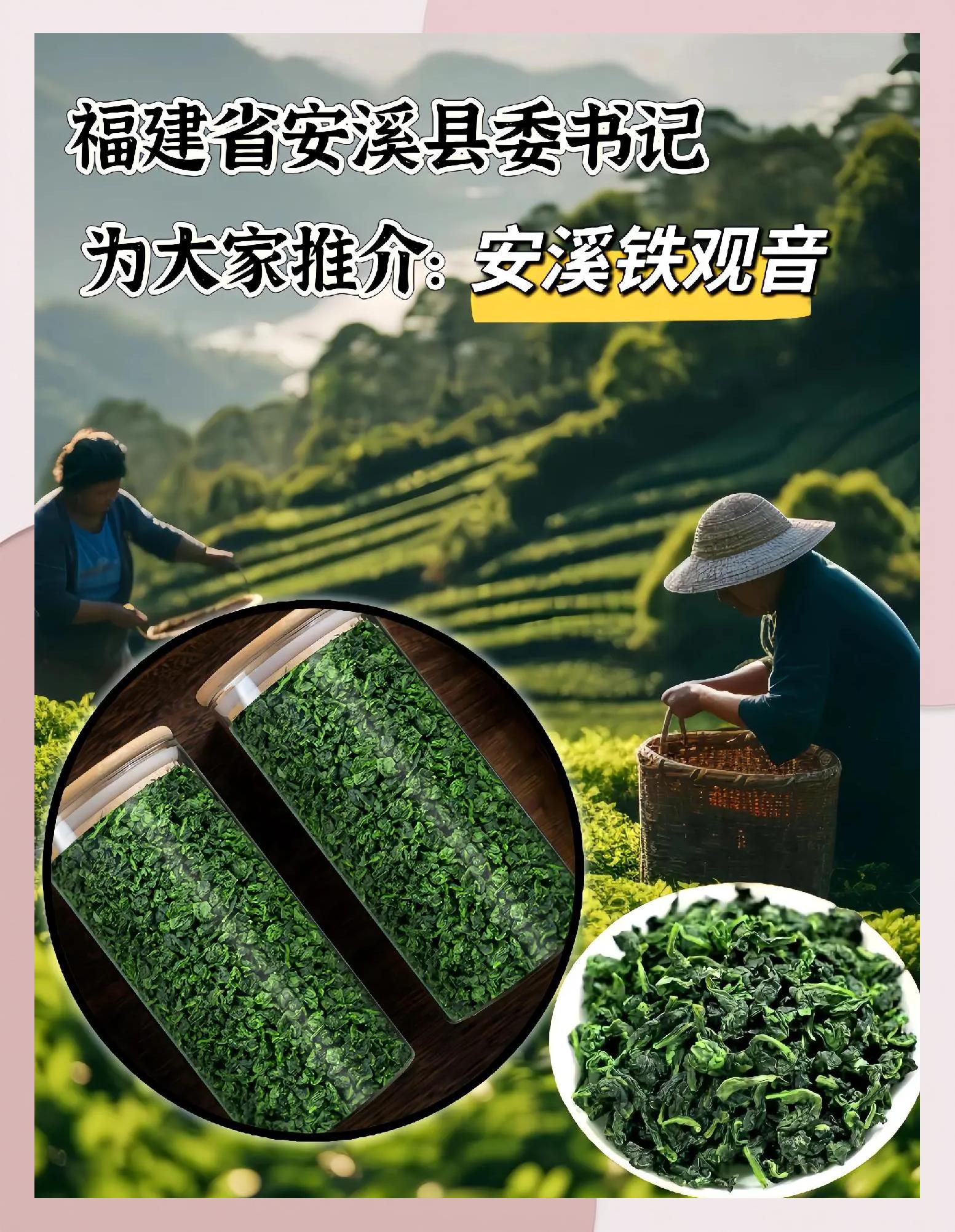 铁观音冲泡方法和时间(铁观音的冲泡方法及注意事项) 铁观音冲泡方法和时间(铁观音的冲泡方法及注意事项)