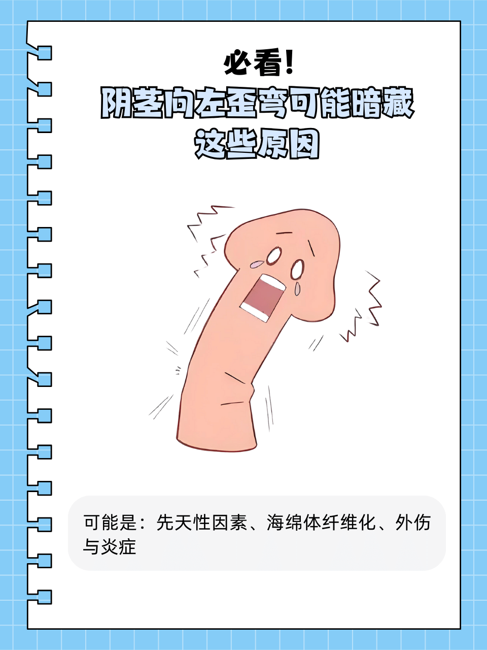 阳茎正常图片集的简单介绍