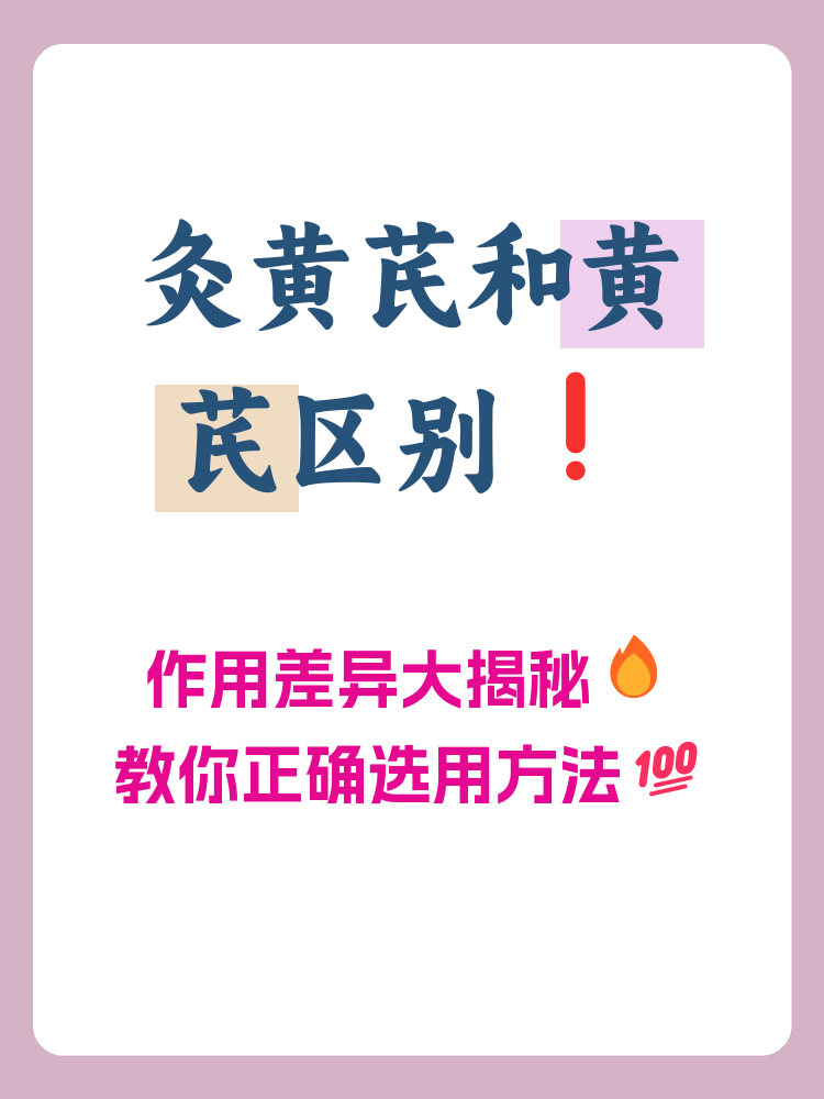 炙黄芪的功效与作用(麸炒白术的功效与作用)
