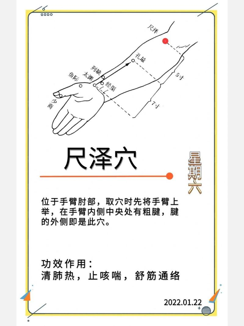 牵正的准确位置图(二三年级家长会班主任发言)