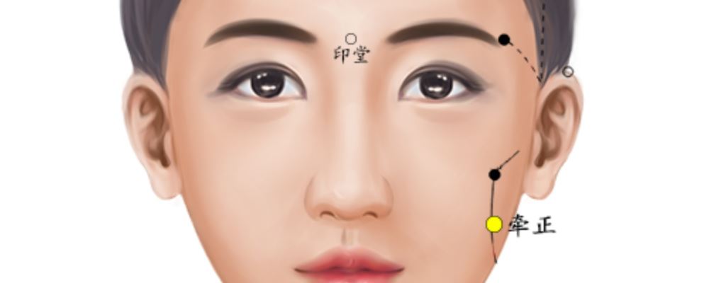 牵正的准确位置图(二三年级家长会班主任发言) 牵正的准确位置图(二三年级家长会班主任发言)