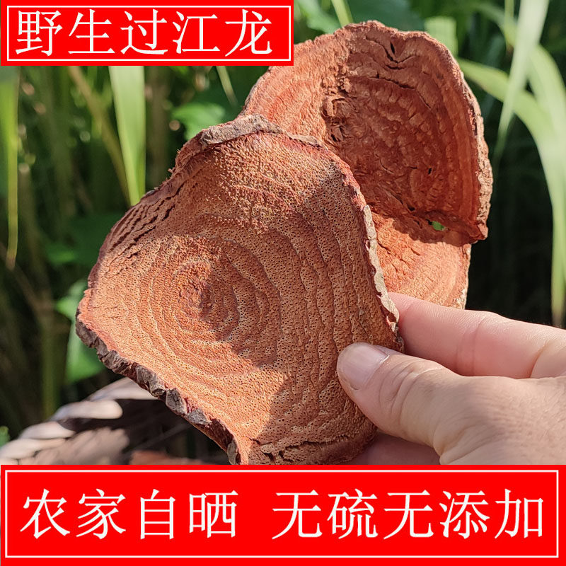 过岗龙(过岗龙的功效与作用) 过岗龙(过岗龙的功效与作用)