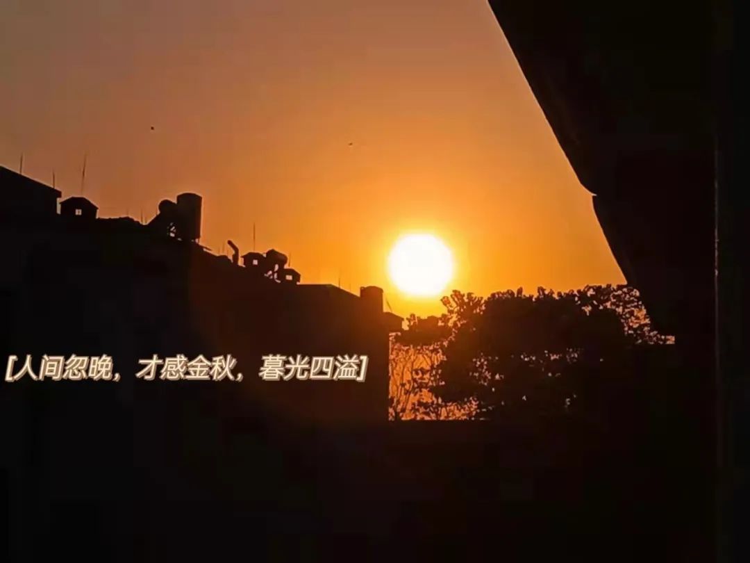 我在等风也等你全诗(我在等风也等你的前一句是什么)