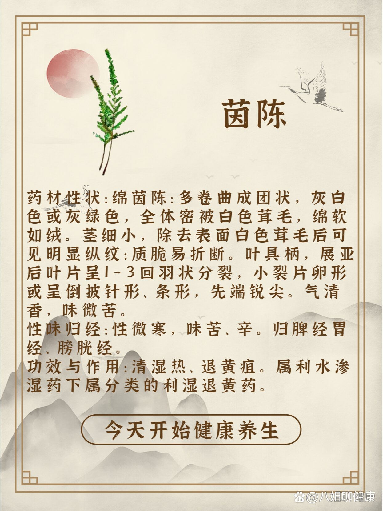 茵陈的功效与作用图片(茵陈的功效作用与主治及禁忌)