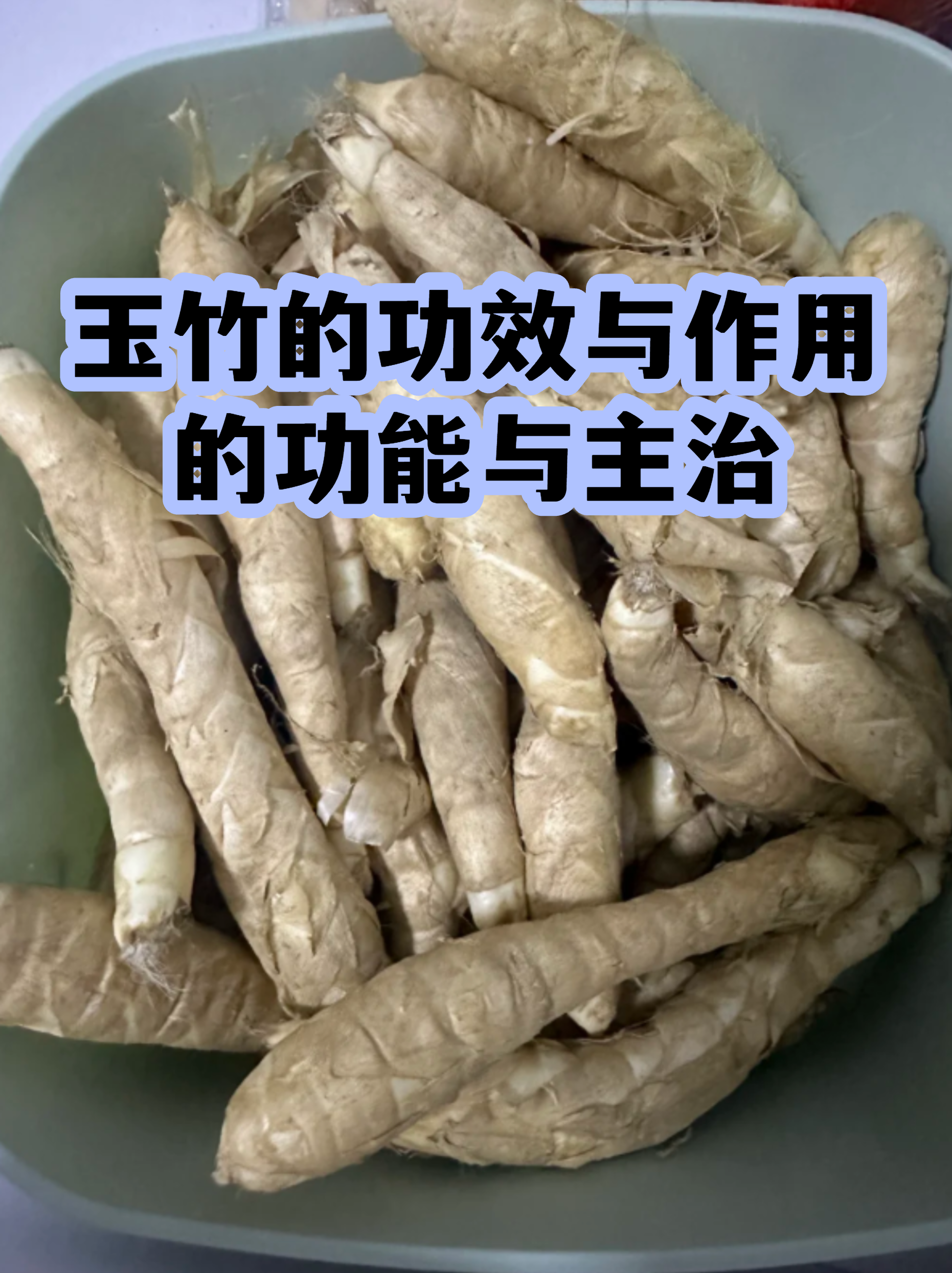 玉竹的功效与作用图片(玉竹的功效与作用图片 吃法) 玉竹的功效与作用图片(玉竹的功效与作用图片 吃法)