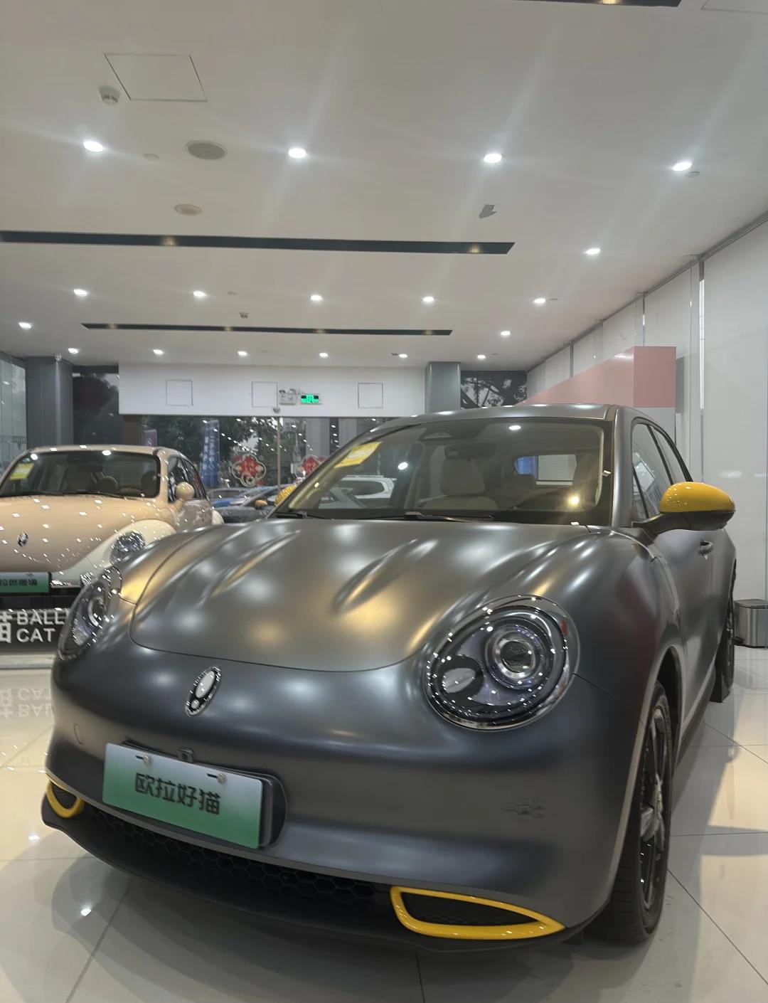 欧拉好猫官网(欧拉好猫百度贴吧)