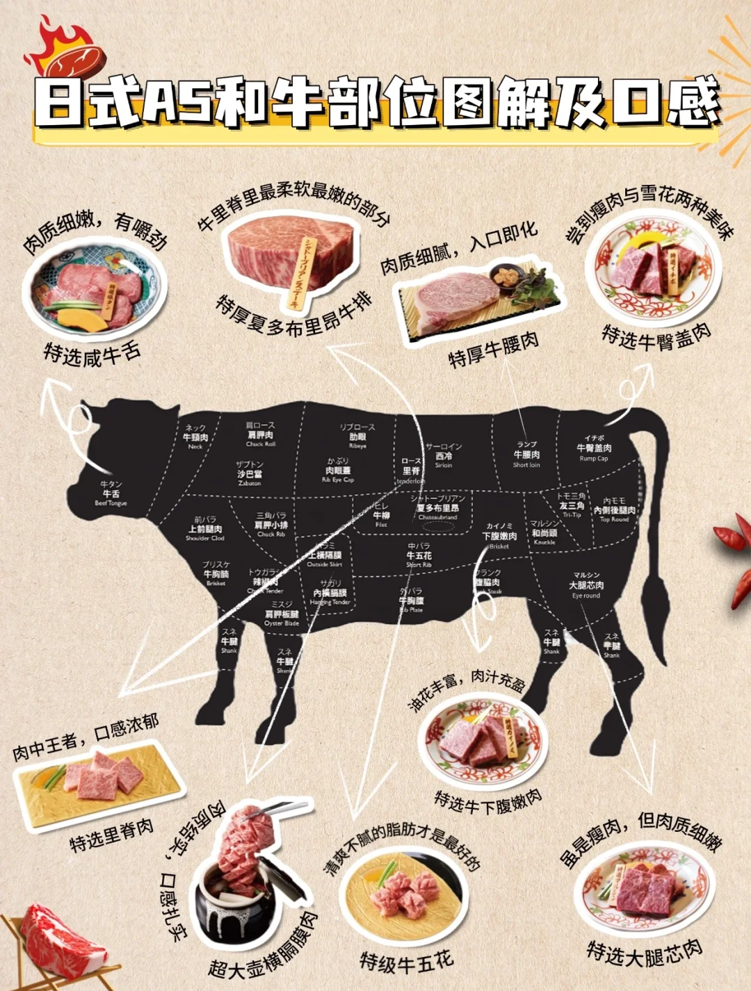 牛的部位分解图和吃法(牛的哪个部位肉最嫩最好)