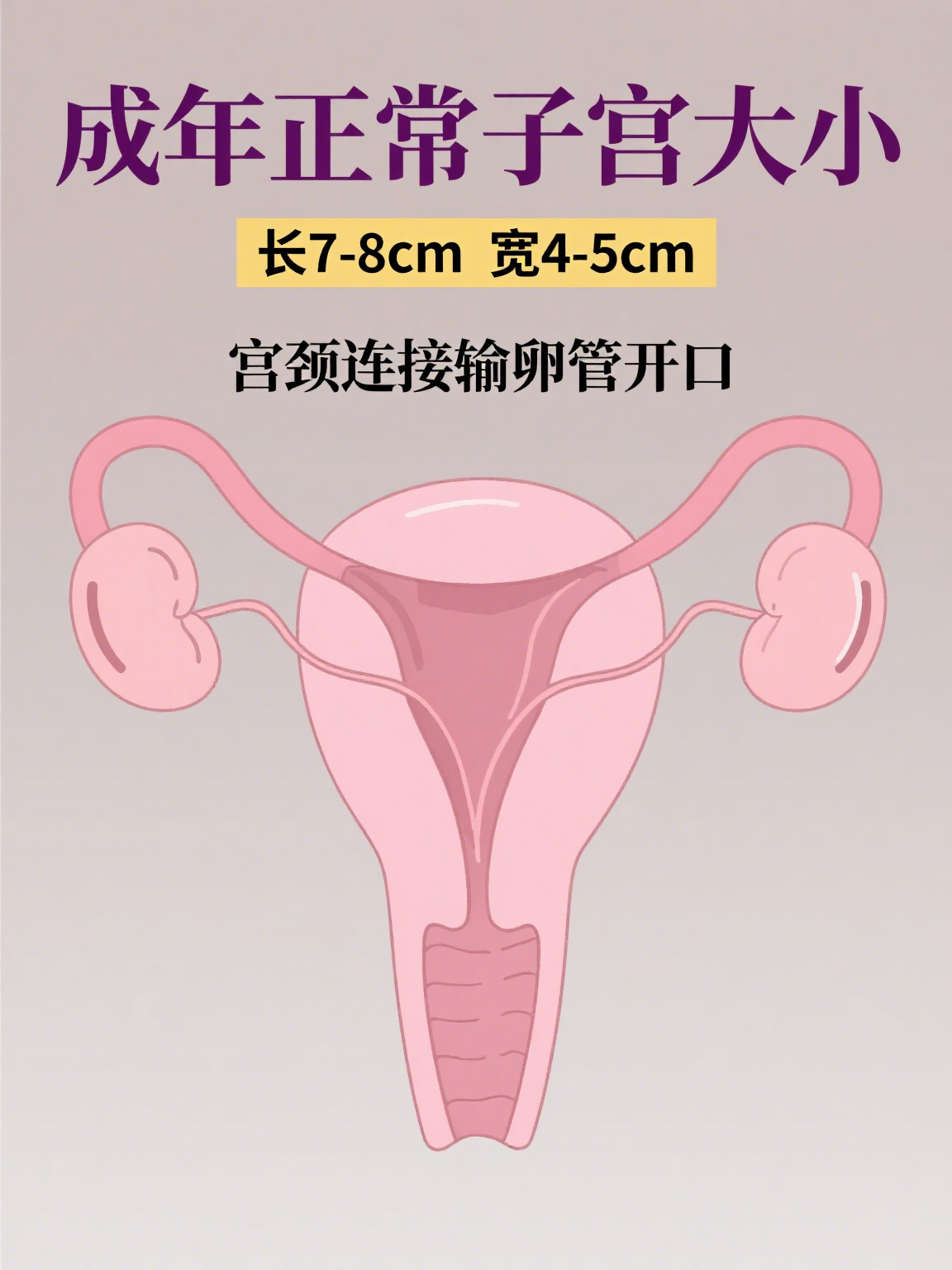 正常的宫颈图片(正常的宫颈图片对比第1页) 正常的宫颈图片(正常的宫颈图片对比第1页)