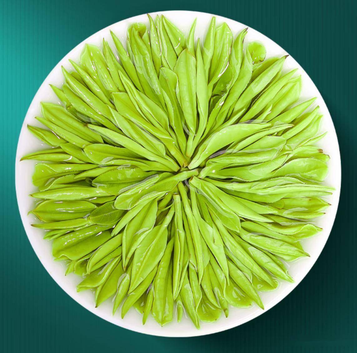安吉白(安吉白茶怎么泡才正确)