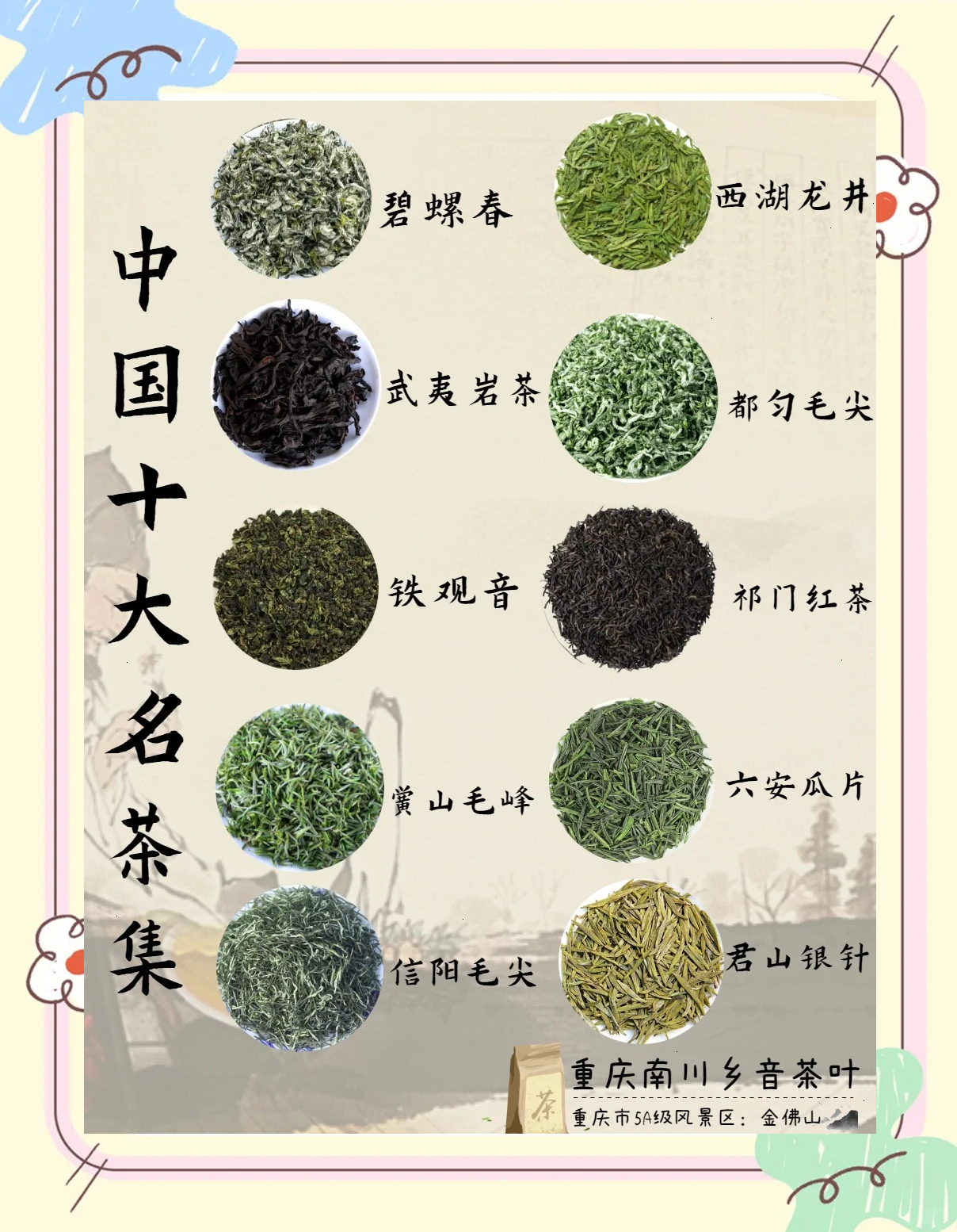 茶有哪些品种(绿茶有哪些品种)