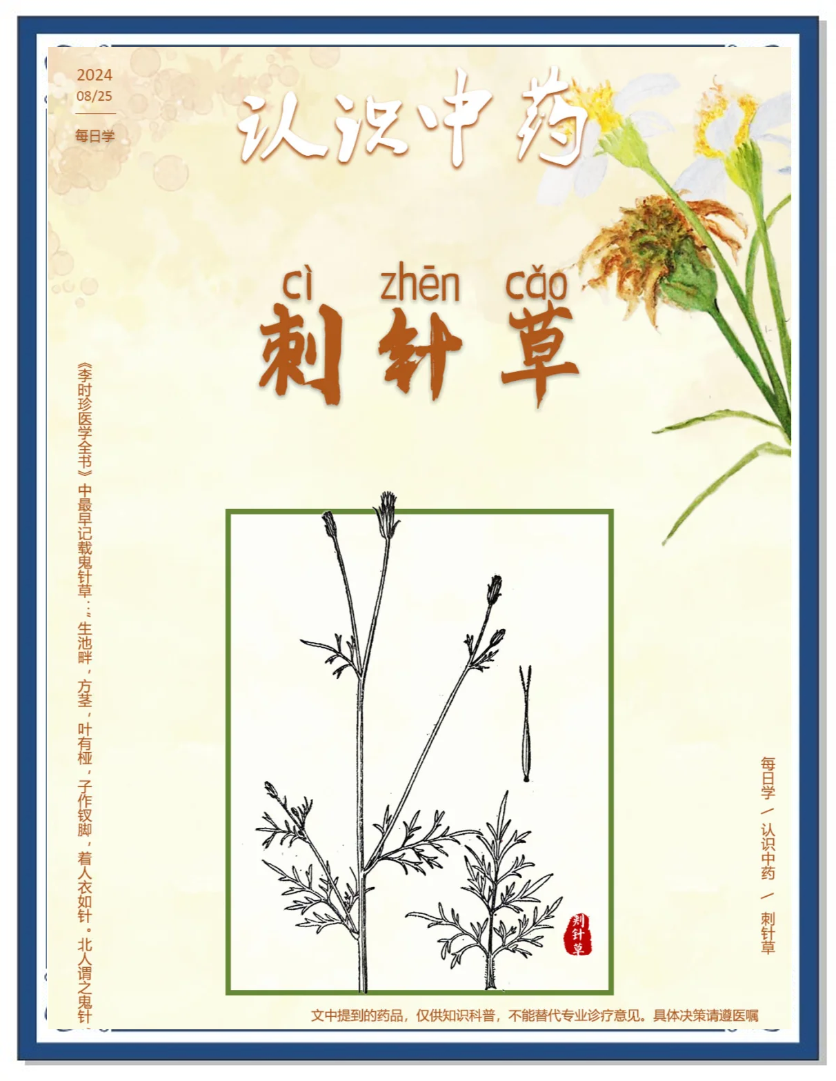刺猬刺的作用和功能(刺猬刺的作用和功能是什么)