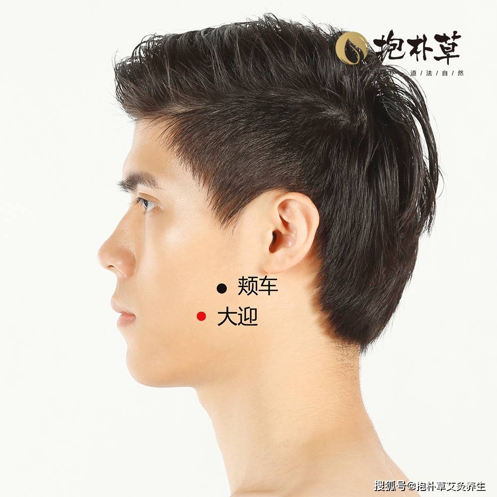 大迎的准确位置图片及功效(大迎的准确位置图作用可以美容吗) 大迎的准确位置图片及功效(大迎的准确位置图作用可以美容吗)