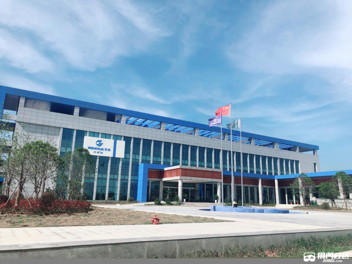 烟台万华招聘(烟台万华招聘2026最新消息) 烟台万华招聘(烟台万华招聘2026最新消息)