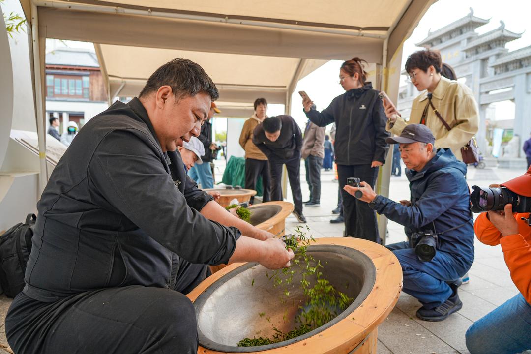 海青茶(海青茶属于什么茶)