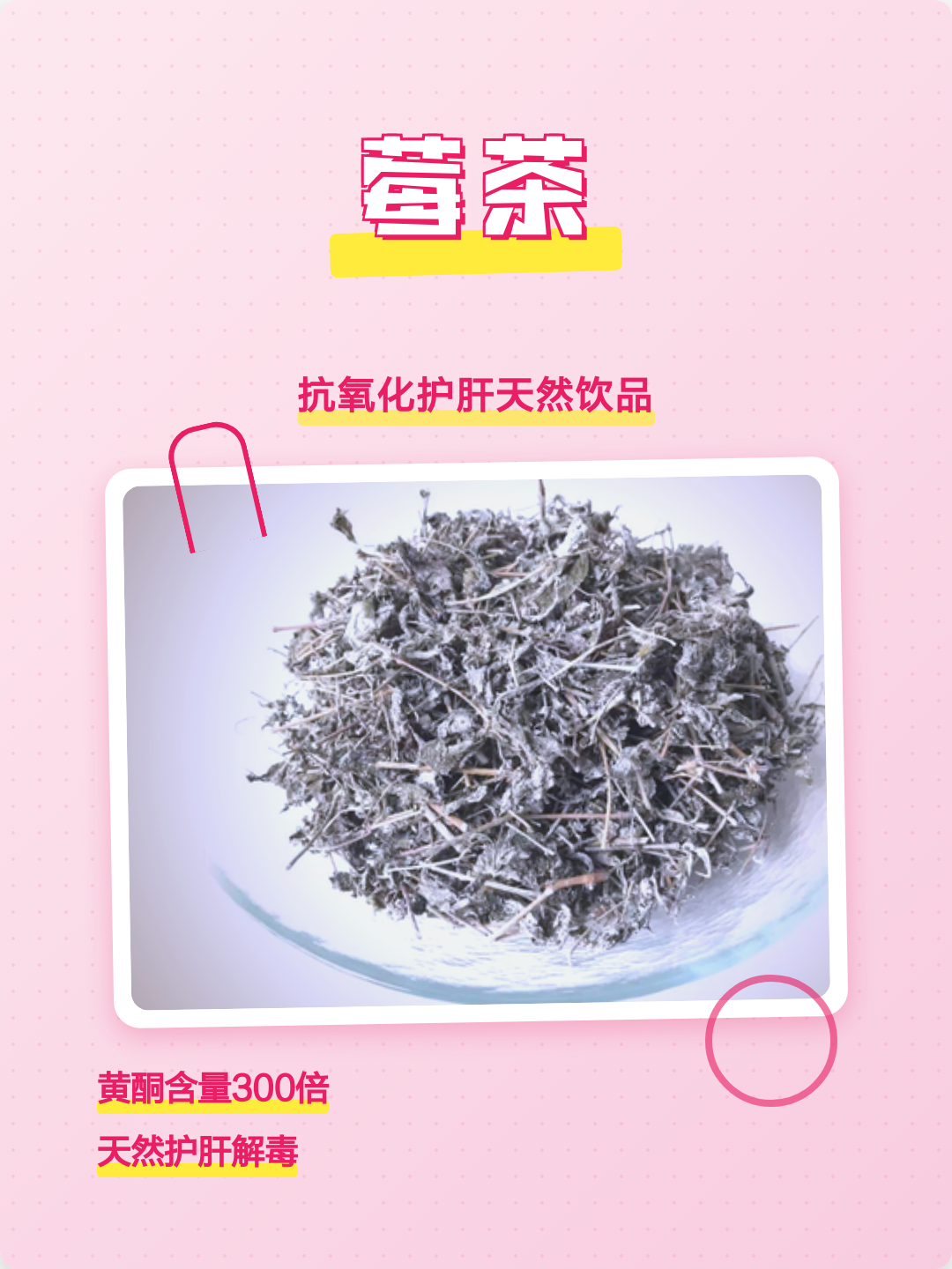 莓茶的作用与功效(紫玉莓茶的作用与功效)