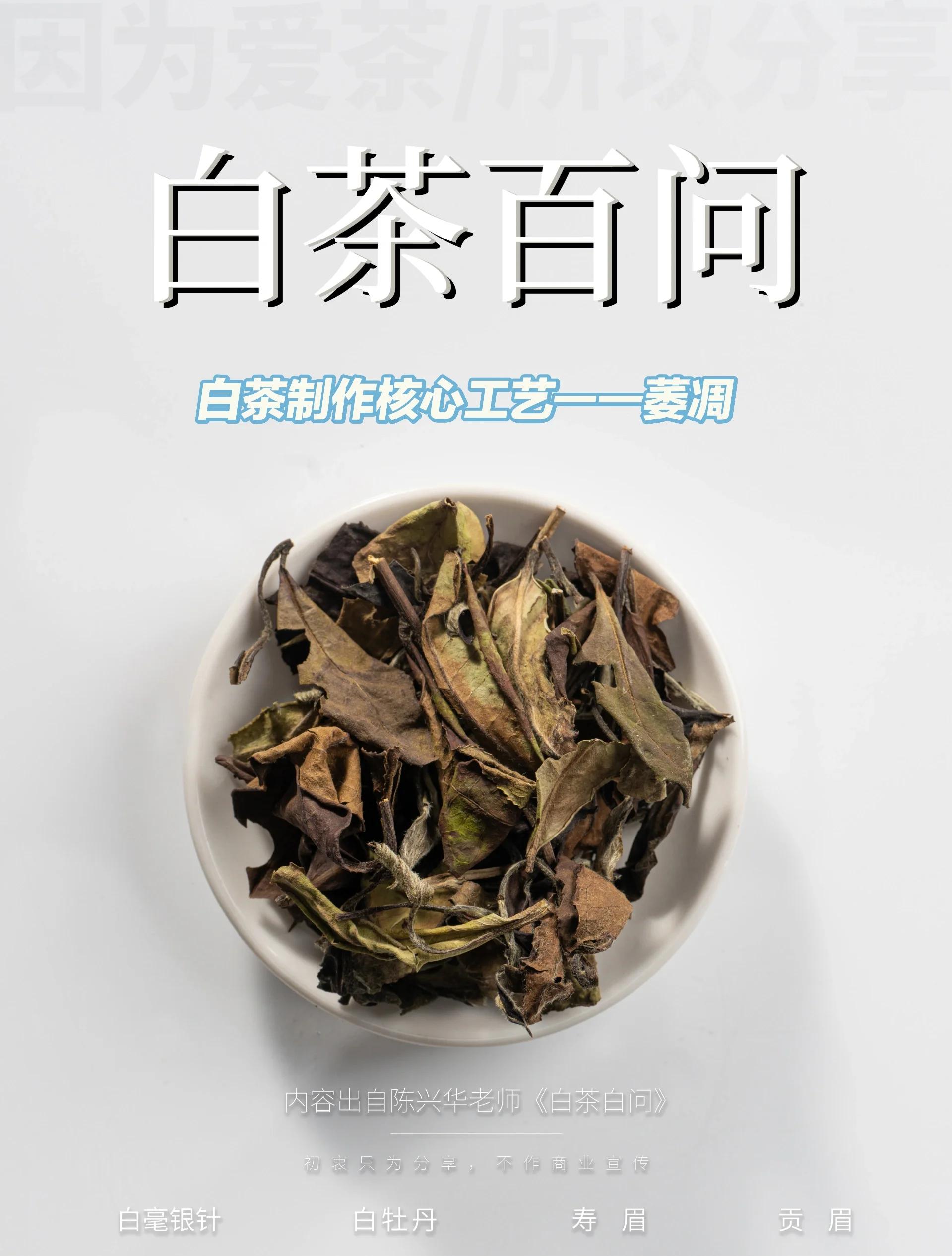 哪种白茶最好(哪一款白茶比较好) 哪种白茶最好(哪一款白茶比较好)